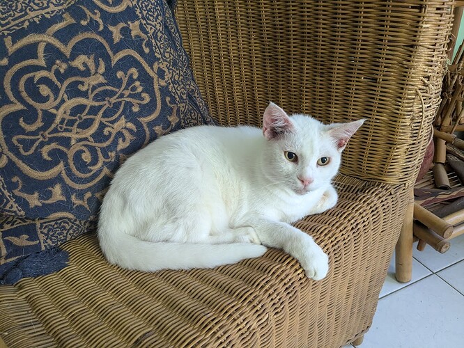 PXL_20250612_133731114