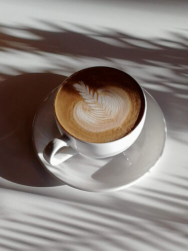 photograph of a latte with rosetta latte art, dramatically lit with heavy shadows