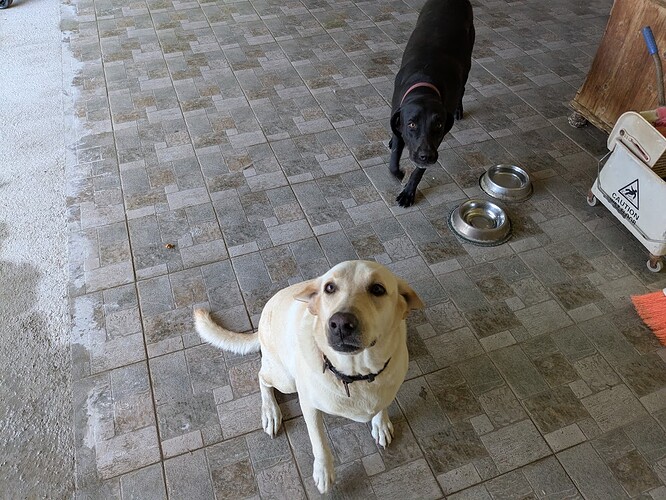 PXL_20250611_110719846.MP