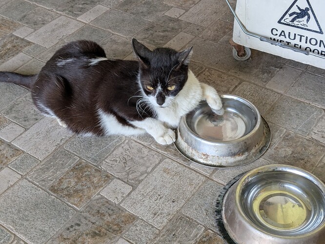 PXL_20250619_121451603