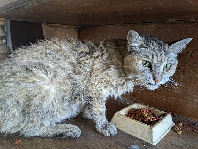 PXL_20250612_133746087