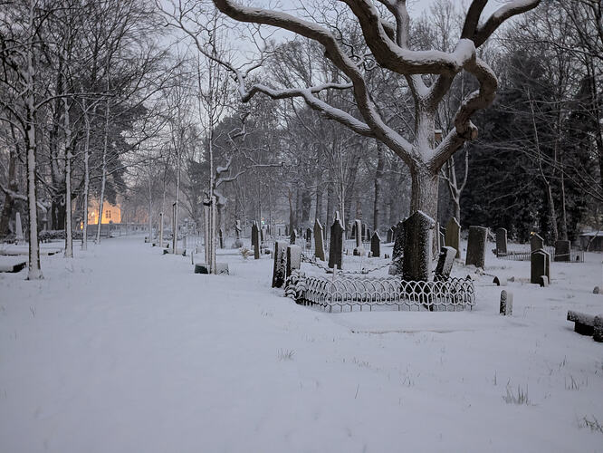 A graveyard covered in a fresh blanket of snow.