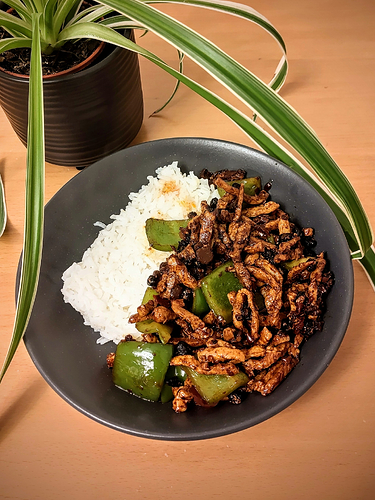 Photograph of pork with fermented black soybean and green pepper, served with jasmine rice. It's plated on a grey bowl set on a wooden table, with a large plant for decoration
