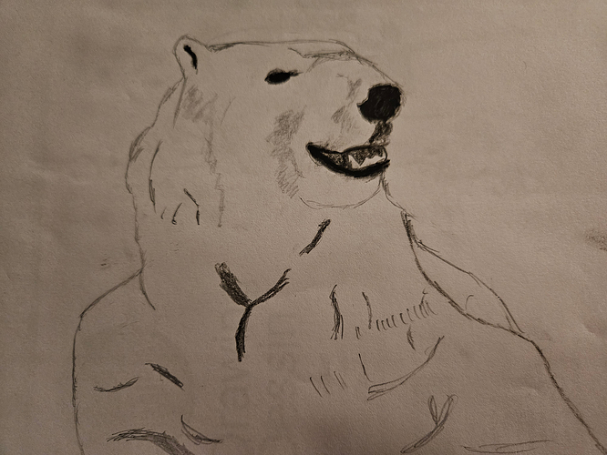 A pencil sketch of a polar bear.