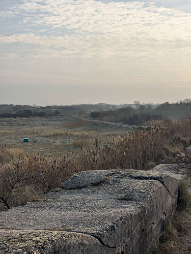 An aged wavy concrete wall stretches to the horizon. This is a remnant of the nazi atlantikwall.