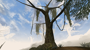 A screenshot from TES III: Morrowind of a tree in the starting area of the game, the Bitter Coast.
