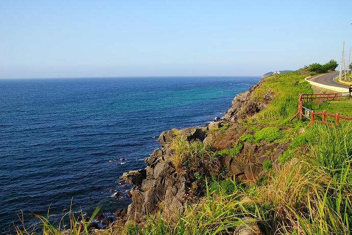 a cliffside on the coast, with vibrant green grass and a deep blue sea.