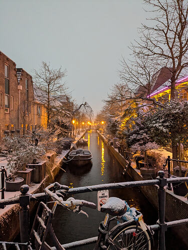 A narrow Dutch city canal with trees flanking it covered in snow
