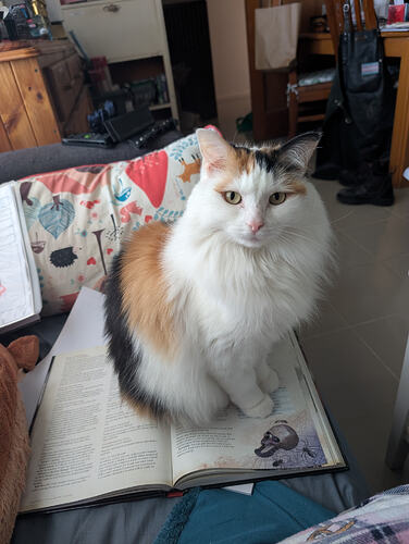 eda64703-533e-48e8-9c5e-1b37a776c412-1_all_1430