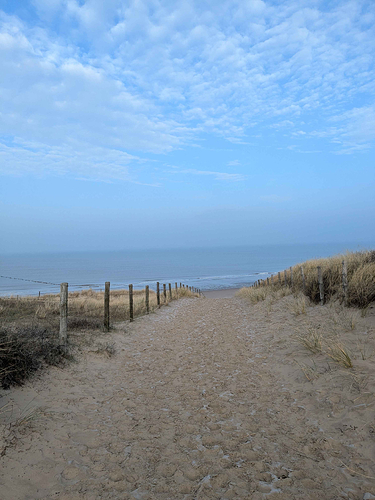 Dirt path from the top of the dunes with the sea below.