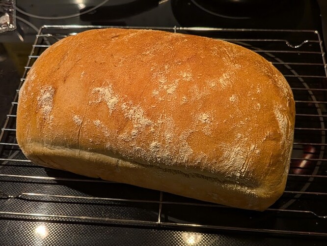 Picture of a bread loaf on top of a metal roster, the top is nicely browned with some flour sprinkled on top of it.