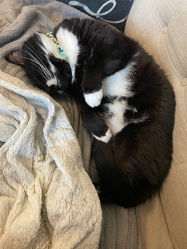 charlie_cozy