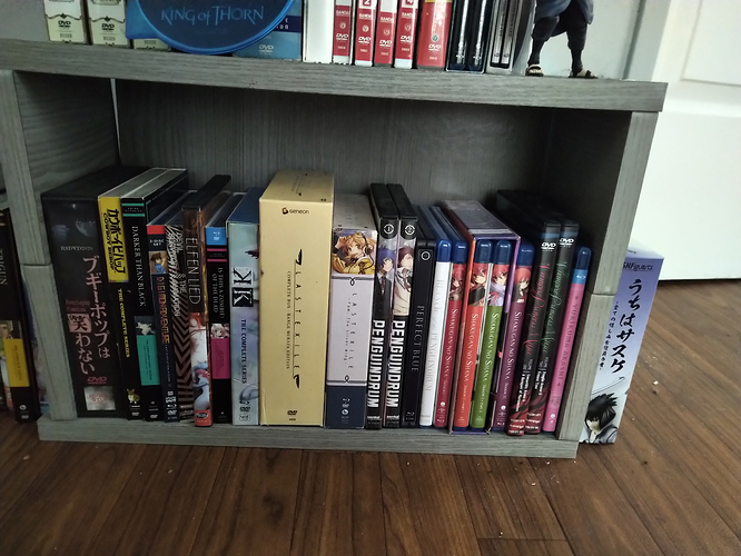 IMG_20260214_1023432