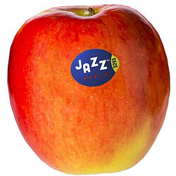 Photograph of a Jazz apple. It has bright red skin, and features a blue sticker with the word jazz set with offset letters. The typeface on the logo is an odd choice, frankly - would you not choose something evocative of Blue Note record covers?
