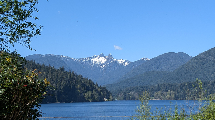 Picture peeking through some bushes on the left and right of a snow-topped mountain in the distance. In front of it flowing hills with pine trees on top of it and a small lake near the photographer's position.