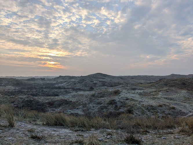 An ocean of sand and grass