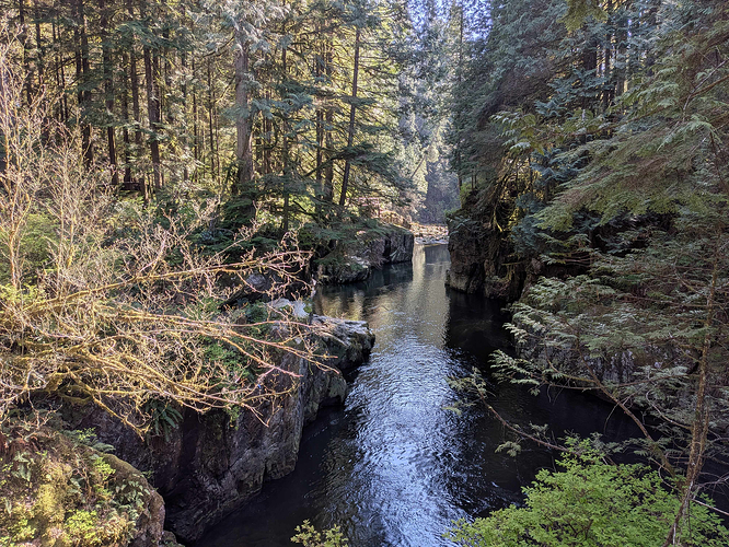 Nature picture of a small river flanked by jagged rocks with trees growing on top of them, in the distance the same view continues.