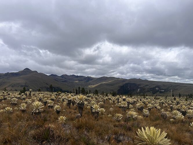 WhatsApp Image 2025-12-10 at 14.44.09_2b0946a8