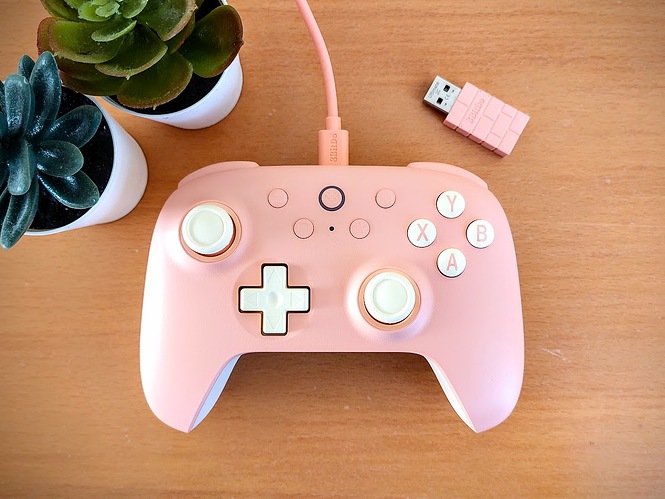 photograph of a pastel pink controller on a wooden backdrop, with some fake plastic plants in the top left of the image.