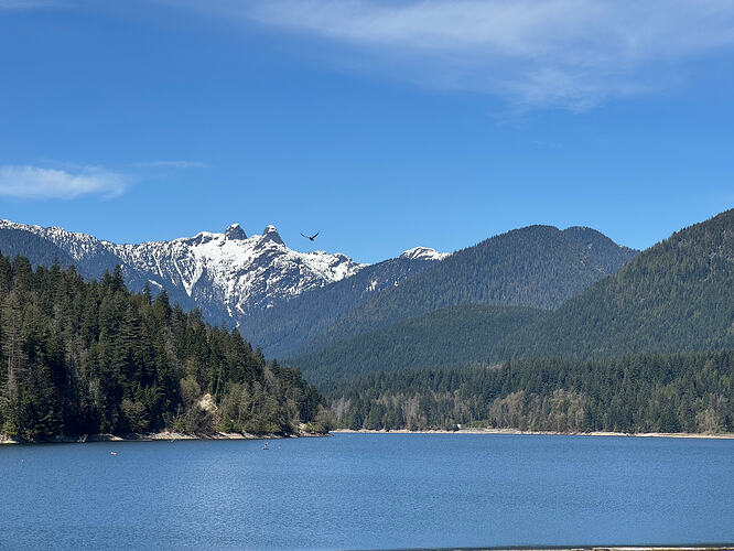 The Lions (also known as the Twin Sisters) and Capilano Lake as seen from Cleveland Dam. A crow can be seen flying next to the mountains.