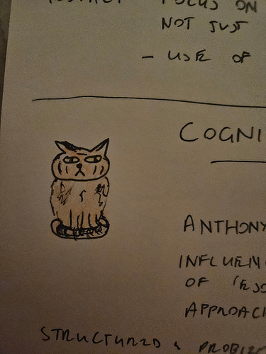 A cute orange cat.