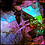glitchy
